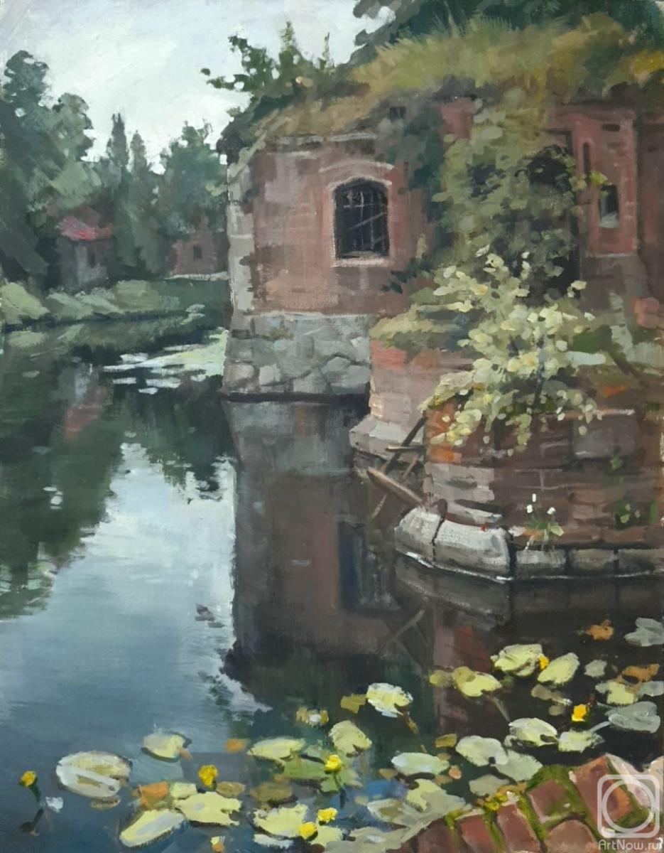 Старый защитник